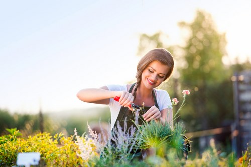 Essential cookies and browsing support for Landscaping Chelsea website