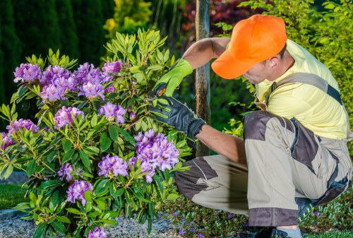Local soft landscaping team preparing planting beds in Chelsea