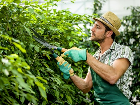 Professional landscaping safety measures in a Chelsea garden