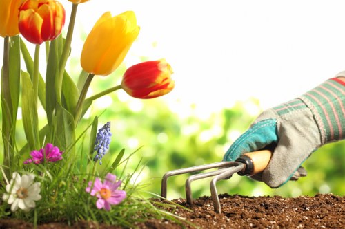A small urban garden makeover showing before-and-after style transformation
