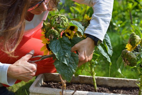 Sustainable Chelsea landscaping with waste separation and circular reuse practices